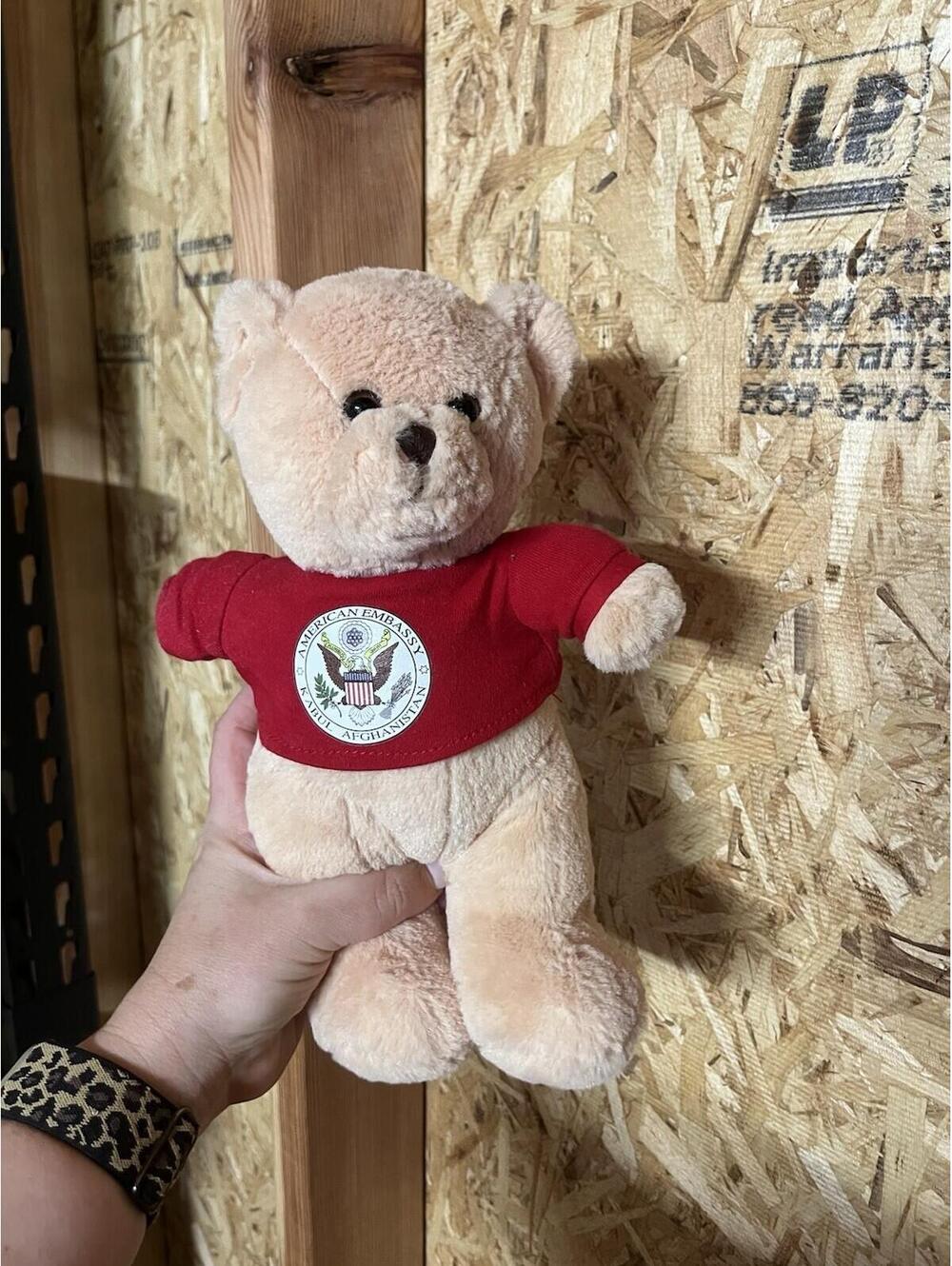 teddy bear  , official seal of the American Embassy Kabul Afghanistan Rare - 5